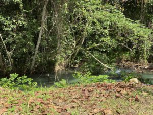 Thatch Hill River, Ocho Rios, Jamaica