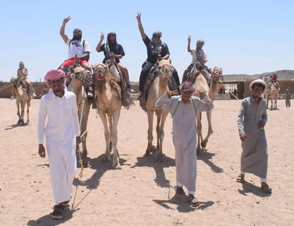 Camel ride in Sahara desert
